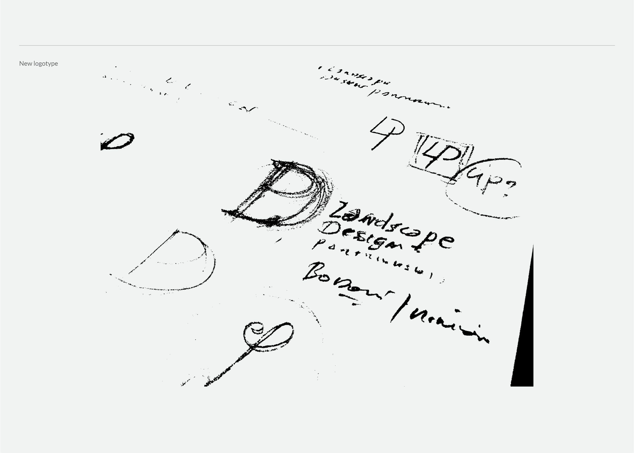 LDP logotype portofolio